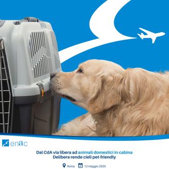 Italia modifica su normativa ¡¡y permite que perros y gatos …