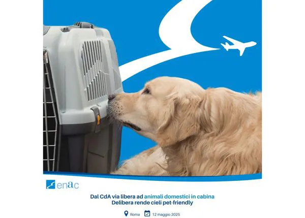 Italia modifica su normativa ¡¡y permite que perros y gatos de más de 10kg vuelen en cabina!!
