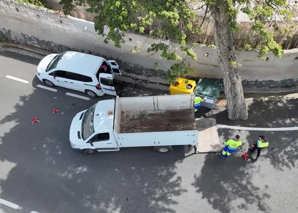 La policía local de Telde encuentra 6 perros PPP muertos en un contenedor: piden colaboración ciudadana