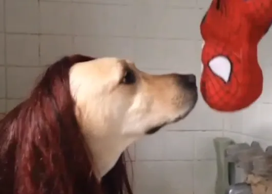 El beso de Spiderman en versión, ejem, perruna