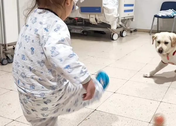 La perra del Girona FC, Canya, reparte sonrisas y regalos por Navidad a los niños en urgencias pediátricas del Hospital Trueta