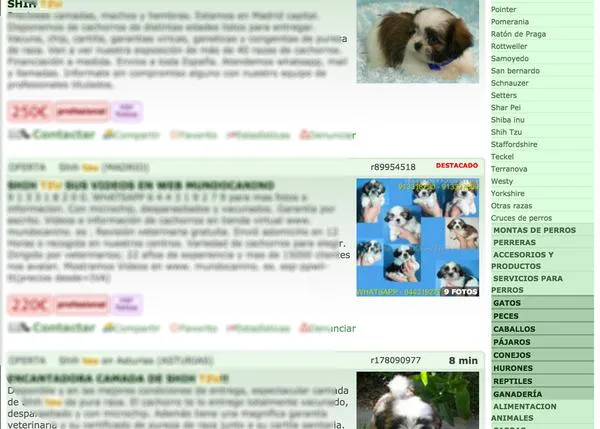 Venta de perros en internet: FAADA da un paso clave en Cataluña contra Milanuncios