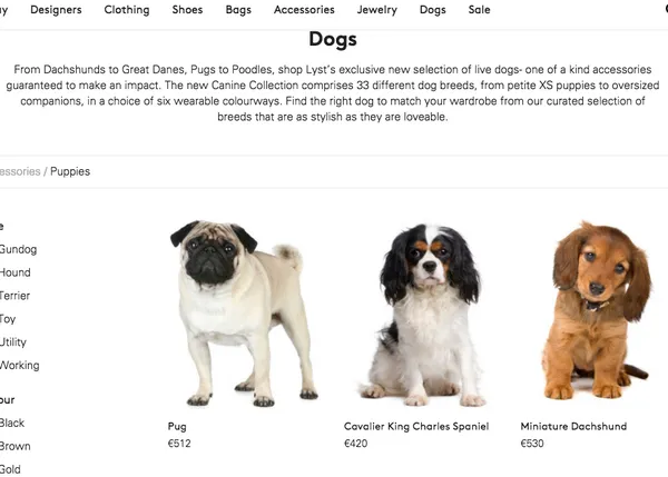 Venden perros como si fueran accesorios: seguro que es una 