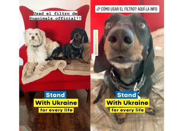 #StandWithUkraine, un filtro de instagram en apoyo a los que ayudan a salvar todas las vidas en Ucrania