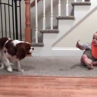 Antídoto contra días grises: los juegos de un bebé y …