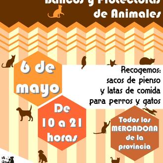 ¿Quieres echar una pata a los Bancos de Alimentos para …