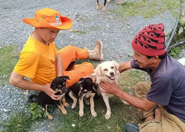 Bután, el primer país del mundo en lograr esterilizar a casi el 100% todos los perros callejeros (y vacunar al 90%)