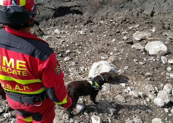 Los perros de búsqueda y rescate de la UME: canes que trabajan pata a mano con los humanos para salvar vidas