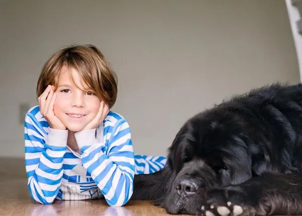 La historia de Julian y Max, Julian y Bruce: la historia de un niño y sus Terranovas