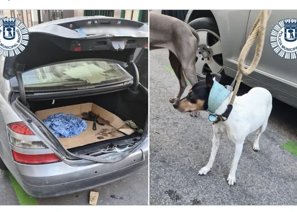 Deja a sus perros encerrados en el maletero del coche para irse al teatro... Y no es una noticia de El Mundo Today