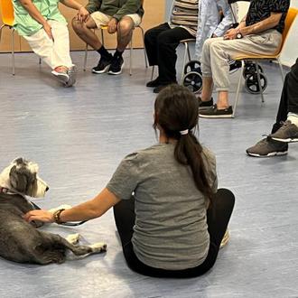 Los perros de intervención asistida ayudan a mejorar el bienestar …