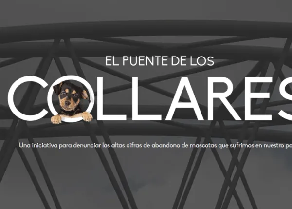 Un puente de Rivas se llena de collares perrunos para denunciar el abandono y fomentar la adopción