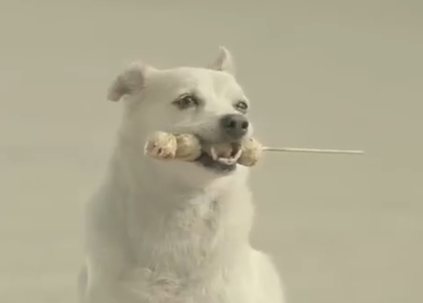 Lo que un can es capaz de hacer por un humano perrunamente simpático, versión anuncio
