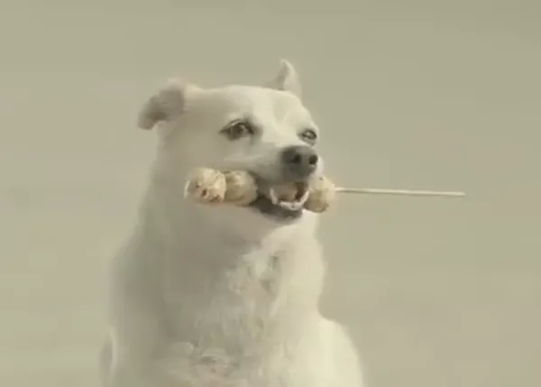 Lo que un can es capaz de hacer por un humano perrunamente simpático, versión anuncio