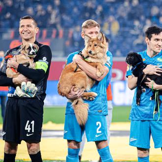 Fútbol y perros unidos por una buena causa: los jugadores …