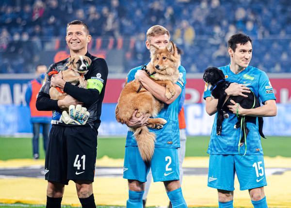 Fútbol y perros unidos por una buena causa: los jugadores del Zenit ruso fomentan la adopción