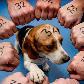 Convocan concentraciones durante el juicio por el (brutal) caso Vivotecnia …