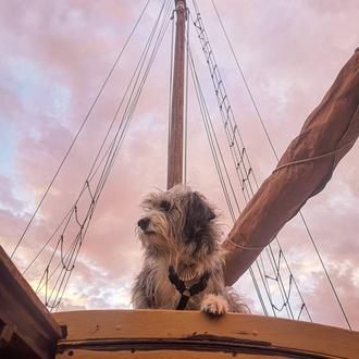 Las nuevas aventuras marineras de Sergi y Nirvana: un hombre …