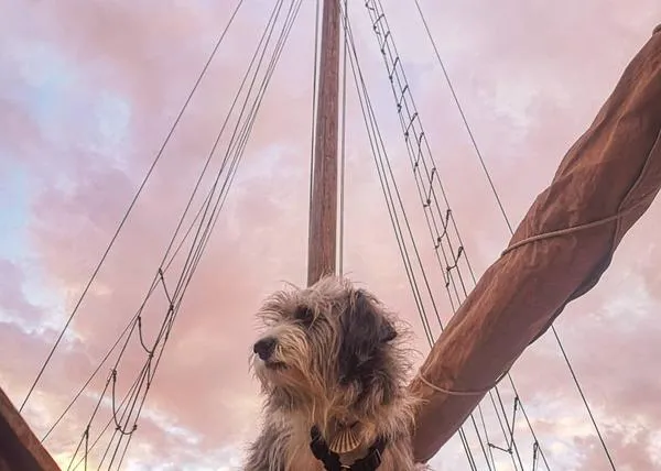 Las nuevas aventuras marineras de Sergi y Nirvana: un hombre y su perra embarcan rumbo al Mediterráneo