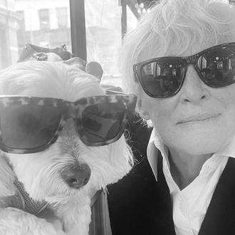 ¿La mayor estrella de Puñales por la Espalda: de entre …