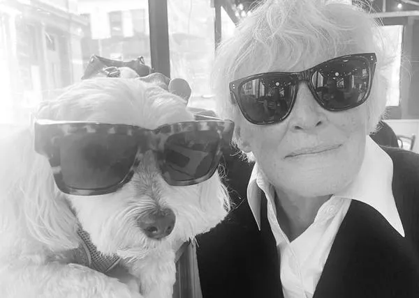 ¿La mayor estrella de Puñales por la Espalda: de entre los muertos, de Netflix? Pip, el perrete de Glenn Close :-)