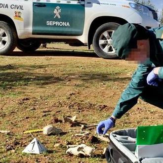 Una veterinaria y una decena de cazadores acusados del sacrificio …