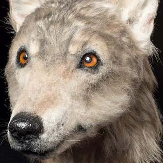 Una reconstrucción forense nos permite contemplar a un perro de …
