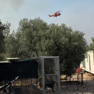 La protectora Arca, en Tarragona, necesita con urgencia casas de …