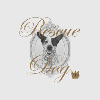 Una canción solidaria dedicada a los perros de protectora: Rescue …