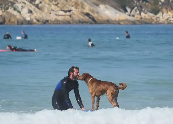 ¿Cómo enseñar a un perro a hacer surf? Con paciencia, mimos y risas