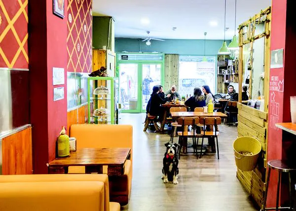 La ruta de la croqueta... con perro: bares en los que estar tan a gusto de tapas con el can