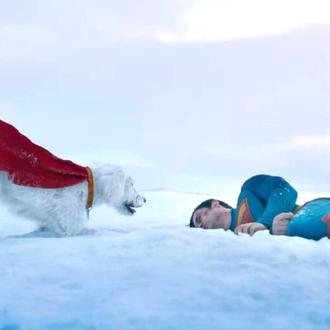 Ozu, el perro en el que se inspira Krypto en …