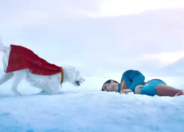 Ozu, el perro en el que se inspira Krypto en Superman, está obsesionado con Krypto (y desde SrPerro, obsesionadas con Ozu)