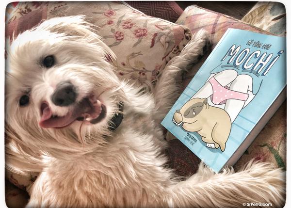Mi Vida Con Mochi El Regalo Perfecto Para Cualquier Humano Perruno E Incluso Para Un Extraterrestre Srperro La Guía Para Animales Urbanos