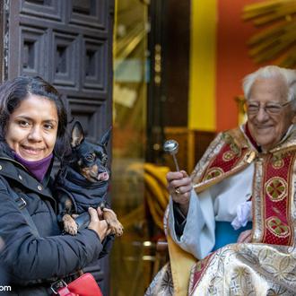 San Antón 2024 en Madrid: la fiesta de los animales …