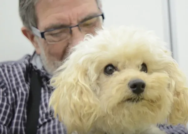 #DogForHappiness, los perros que conectan con la memoria y aportan felicidad a personas con Alzheimer