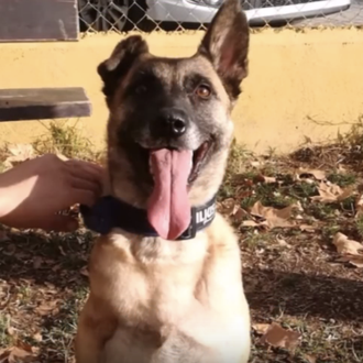 La dramática historia de Vespa, convertida en símbolo de los …