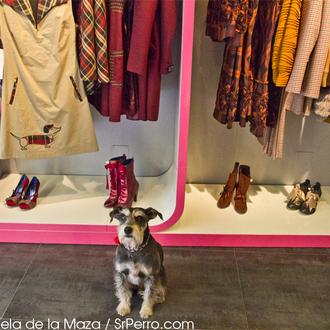 ¿Quieres un vestido perruno (y estiloso) de Divina Providencia? ¡Participa …