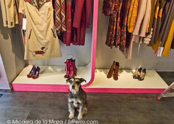 ¿Quieres un vestido perruno (y estiloso) de Divina Providencia? ¡Participa en el concurso!