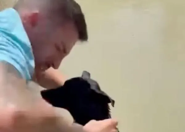 Una pareja de la Guardia Civil rescata a una perra a la que habían tirado a una acequia atada a un ladrillo (y a su cachorro)