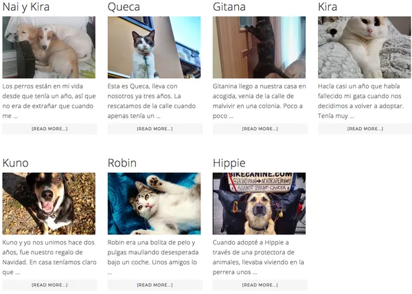 Historias de perros y gatos: una iniciativa para fomentar la adopción y ayudar a protectoras
