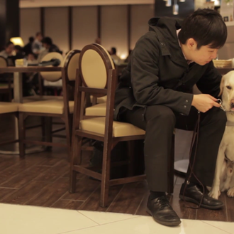 Los perros guía en Hong Kong: 30 perros que, paso …