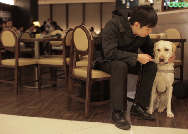 Los perros guía en Hong Kong: 30 perros que, paso a paso, educan a una ciudad