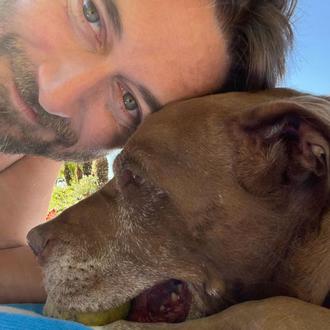 Los amores perros de Ryan Eggold y su gran consejo …
