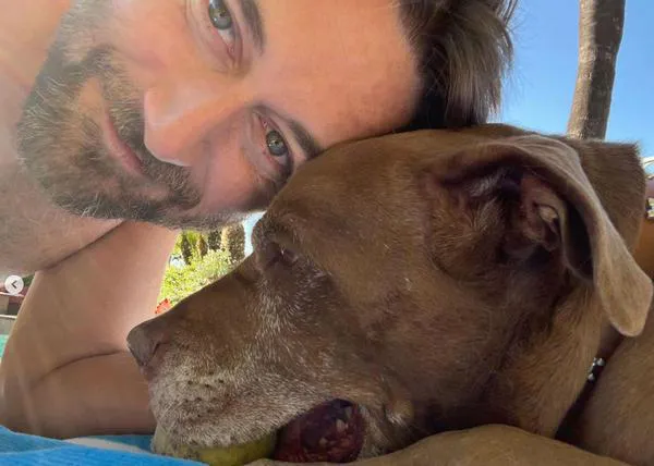 Los amores perros de Ryan Eggold y su gran consejo: si estás pensando en ampliar la familia, adopta (con responsabilidad)