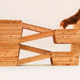 Arquitectura para perros: para disfrutar con arte del vínculo entre …
