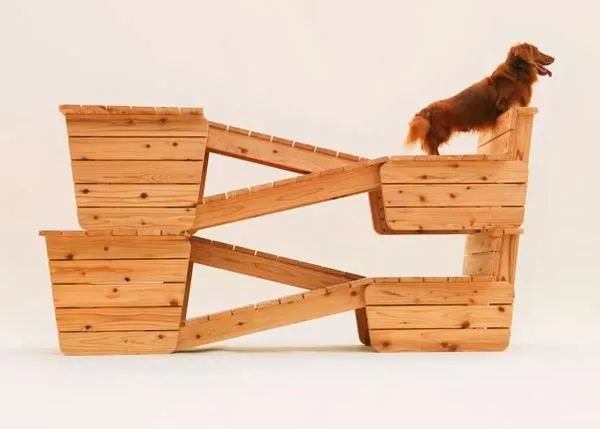 Arquitectura para perros: para disfrutar con arte del vínculo entre humanos y canes