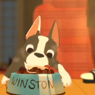 Disney se pone perruna: Un Boston Terrier glotón protagoniza su …