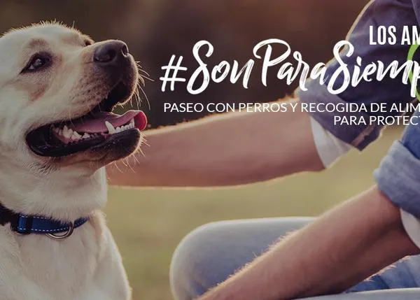 PACMA organiza recogidas de alimentos y mantas para protectoras en una decena de ciudades