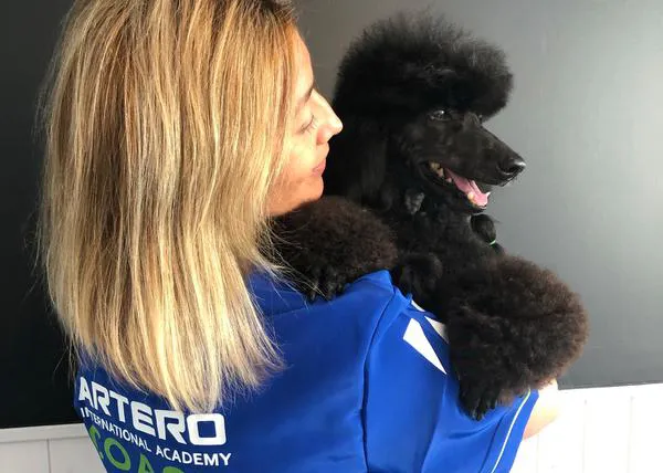 ¿Cómo elegir una (buena) peluquería canina y por qué es tan importante?